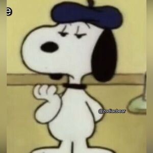 Meet your Posher! 😺